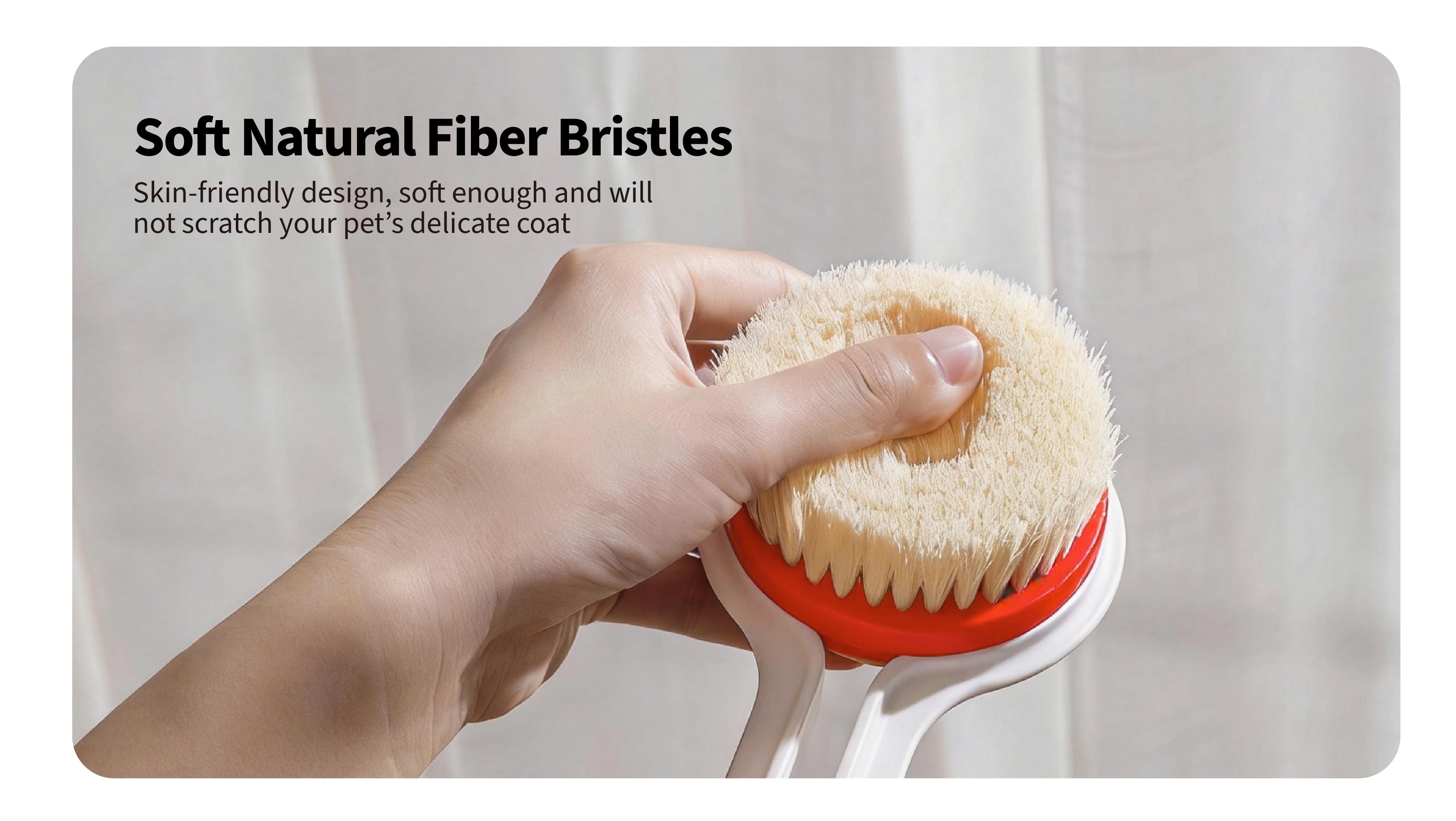 Sturdy PP Handle & Soft Nylon Bristles